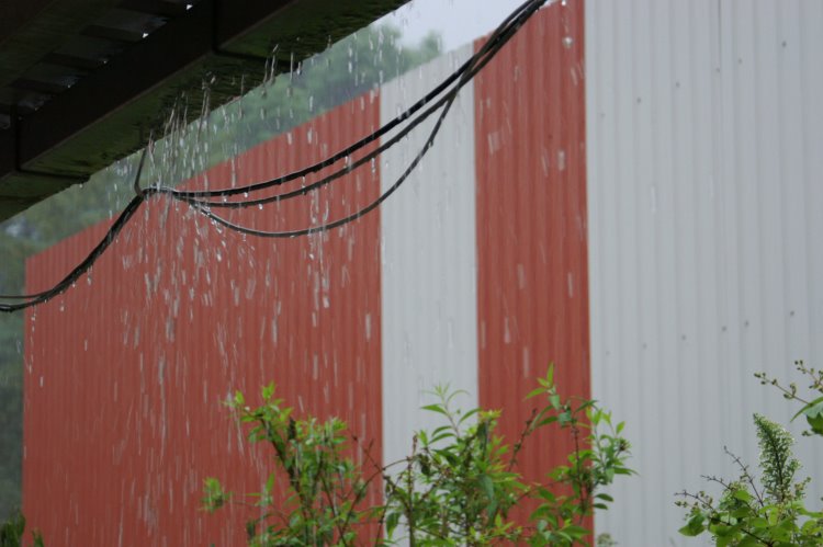 2009/10Regen/03F0023.jpg